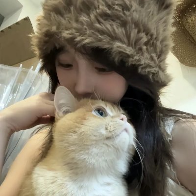 鲨鱼的儿子
