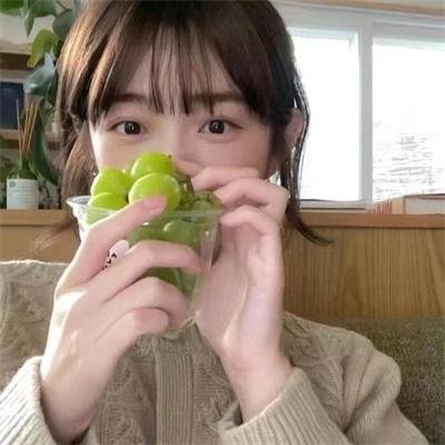 彩叶草之梦