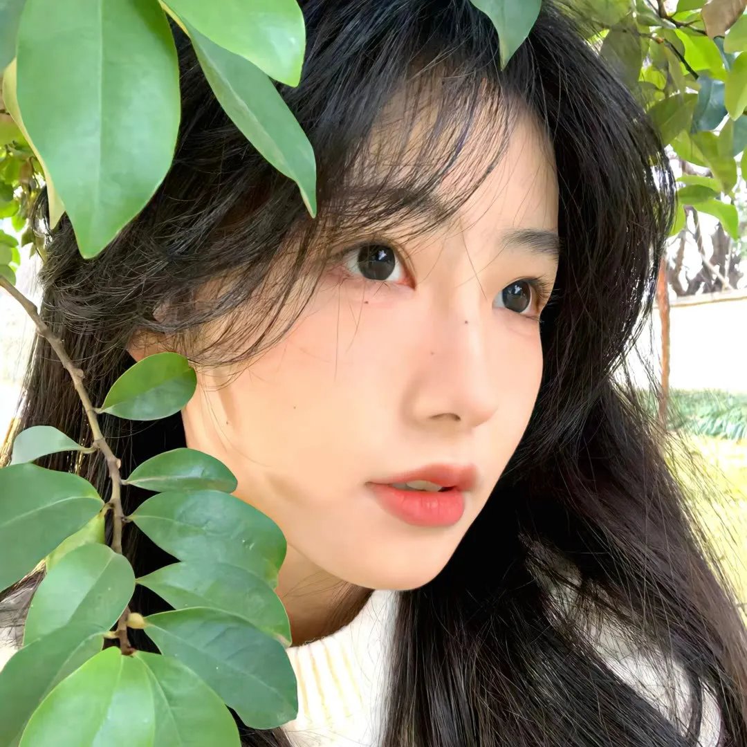 魅力四射3